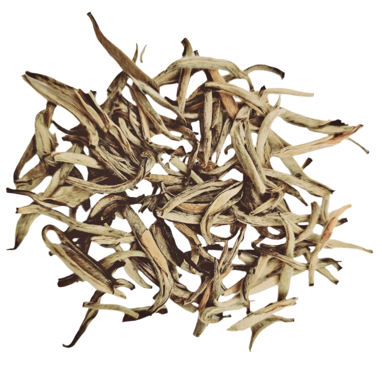 Jasmine Silver Needle Supreme