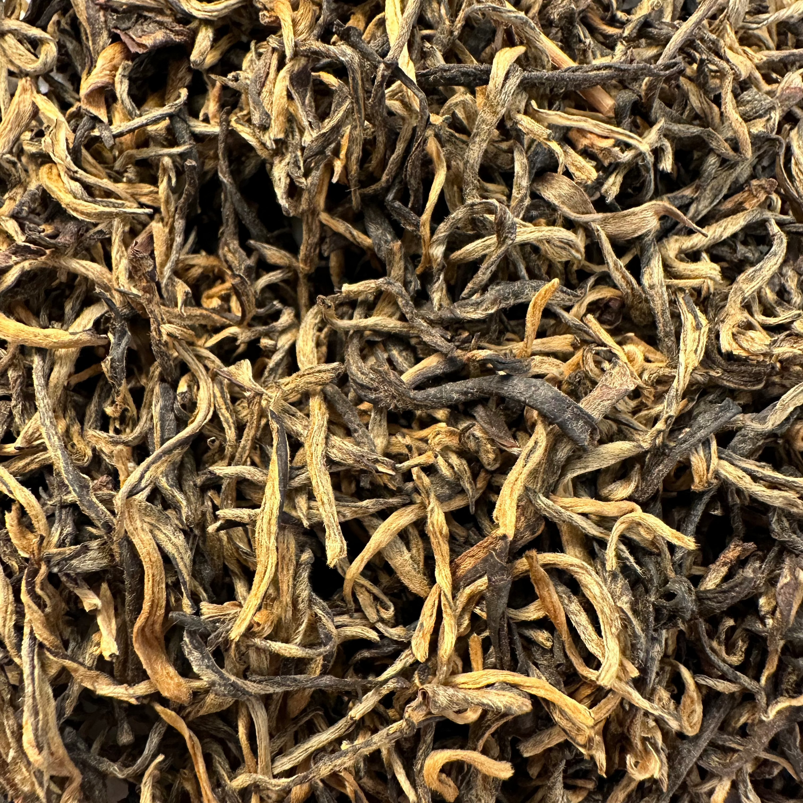 Yunnan Golden Buds